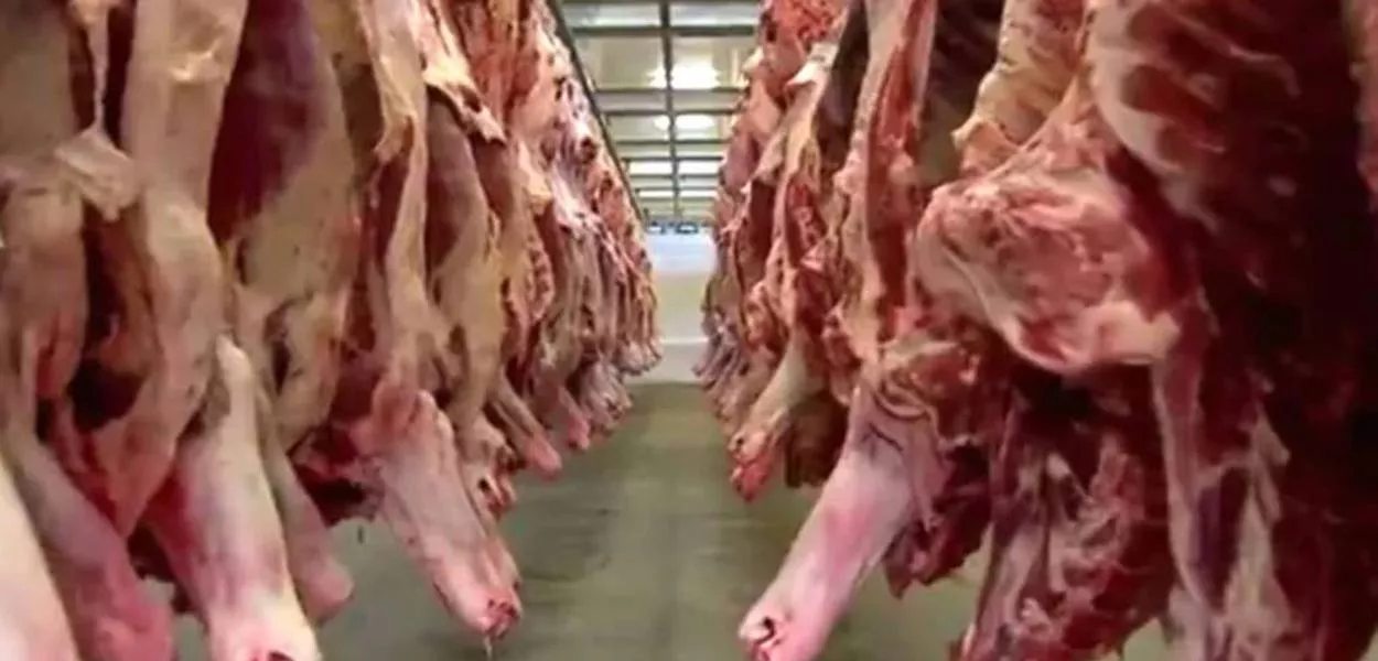 Frigorífico no Mato Grosso do Sul