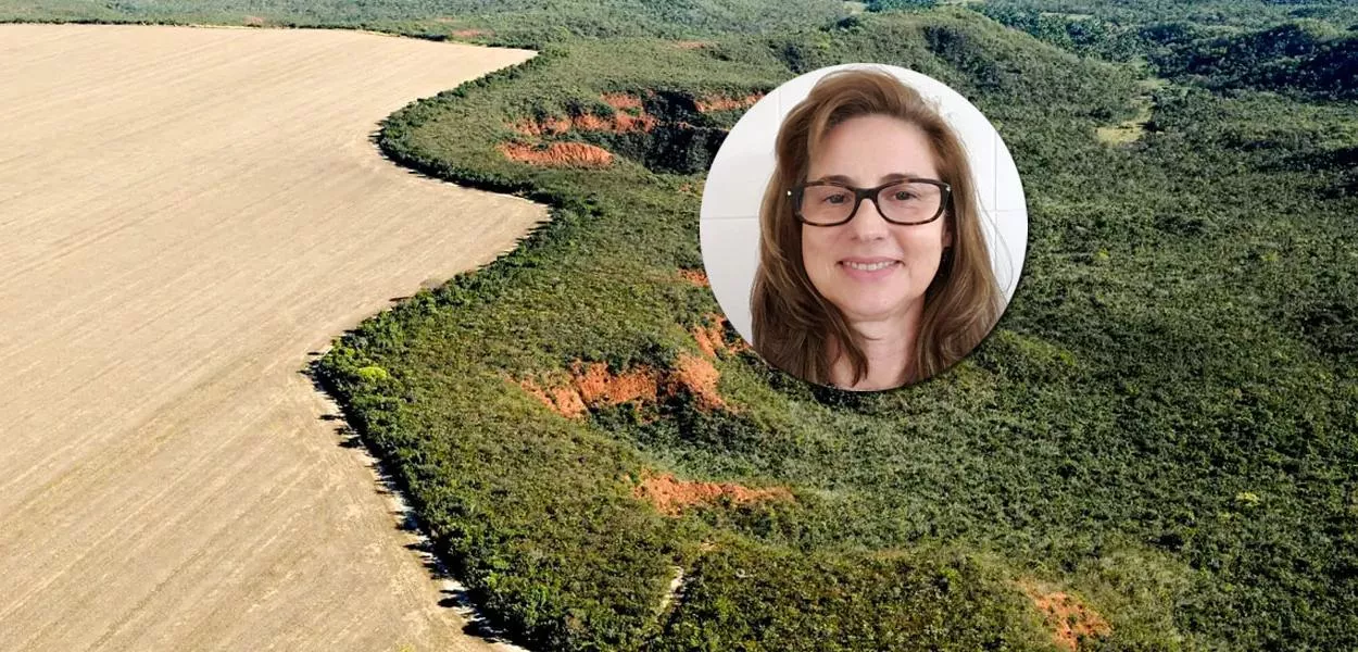 Luciana Gatti :“PL da Devastação é tiro no pé do agro”