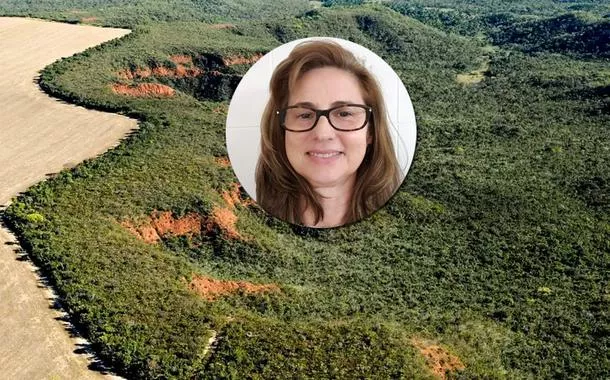 Luciana Gatti :“PL da Devastação é tiro no pé do agro”