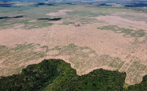Desmatamento por madeireiros em reservas e terras indígenas no Maranhão