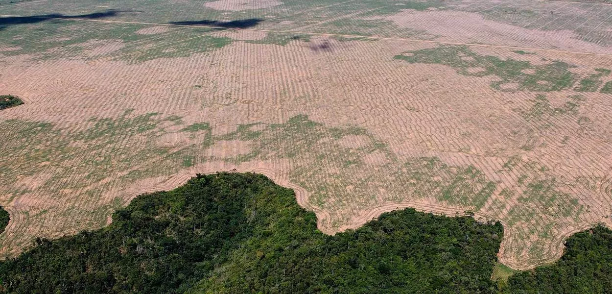 Desmatamento por madeireiros em reservas e terras indígenas no Maranhão