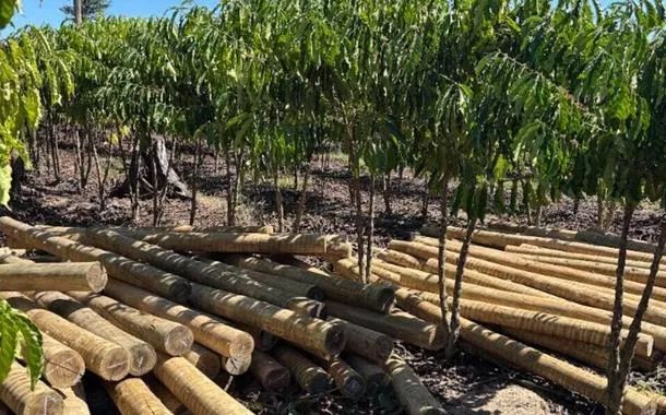 Projeto Vitrines de Restauração
