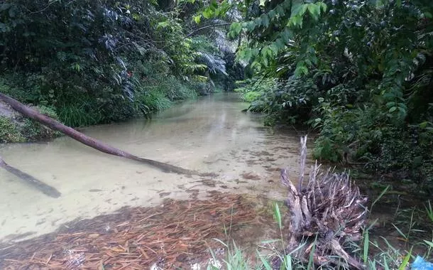 Manifesto em defesa da Mata da Miritiba e da APA Aldeia Beberibe, em Pernambuco