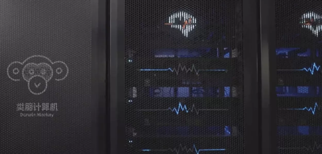 Supercomputador Darwin Monkey
