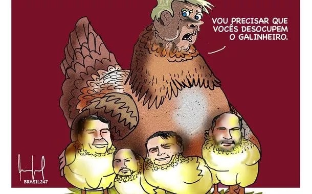 Liberando a moita - 3 de agosto de 2025