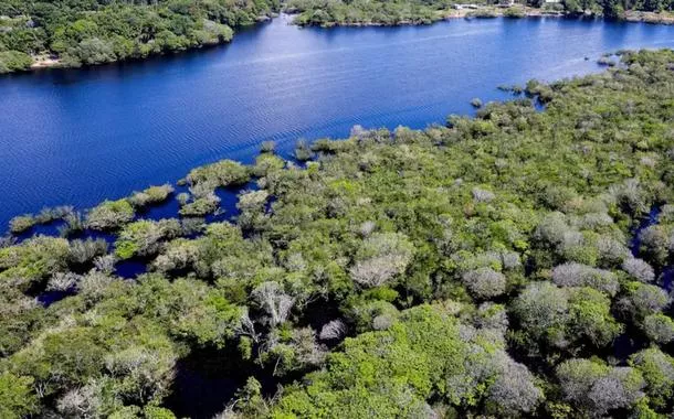 Floresta amazônica