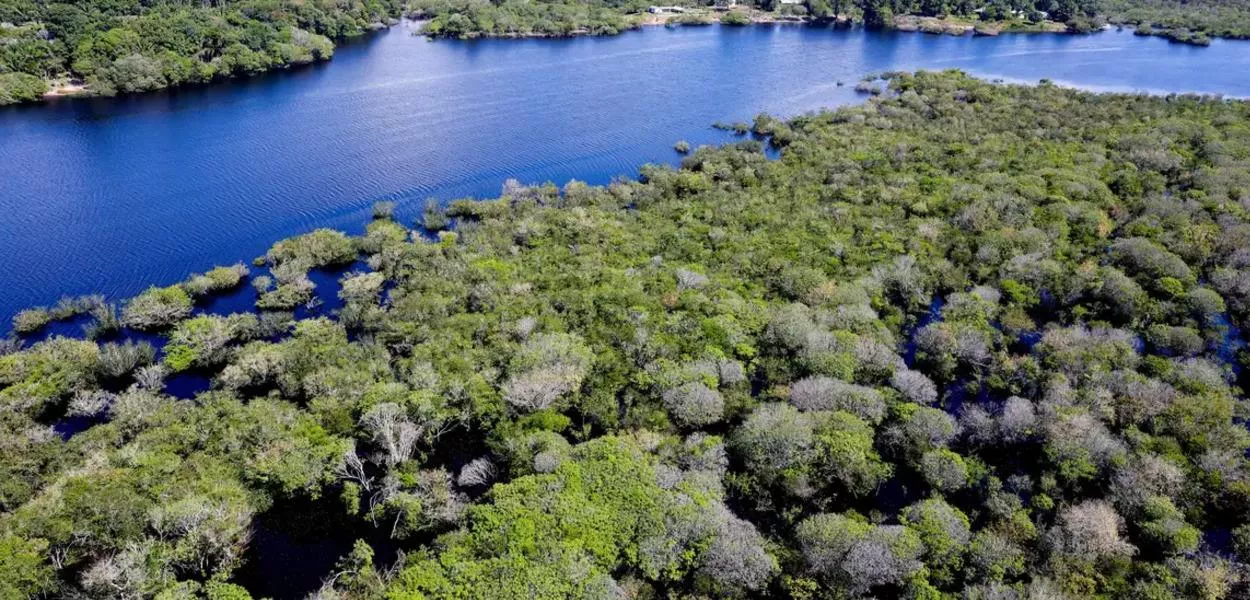 Floresta amazônica