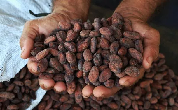 BNDES e Ministério do Meio Ambiente destinam mais de R$ 55 milhões para bioeconomia em Rondônia