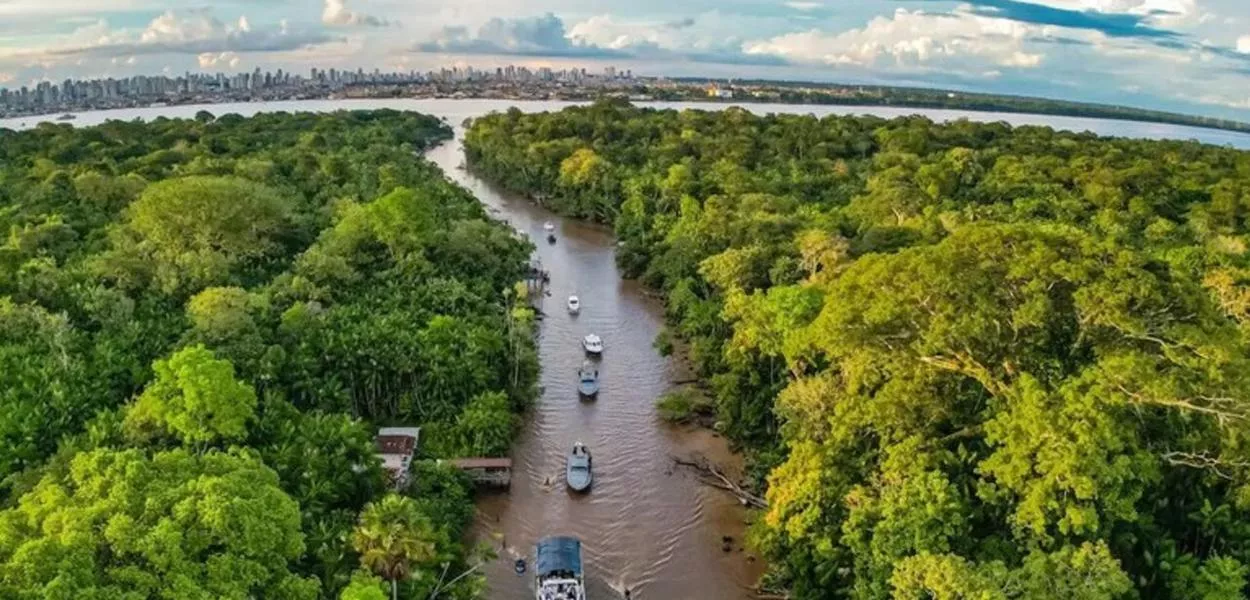 A iniciativa pretende reunir contribuições para fortalecer o jornalismo voltado à cobertura ambiental e à região amazônica