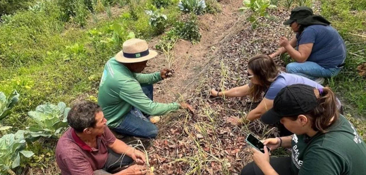 Alunos da UFMT com os agricultores