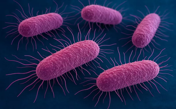 Bactéria Yersinia pestis, causadora da ‘peste negra’ ou ‘peste bubônica’