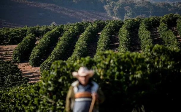 Tarifaço, safra menor no Brasil e demanda da Europa e Ásia impulsionam preço do café, diz pesquisa