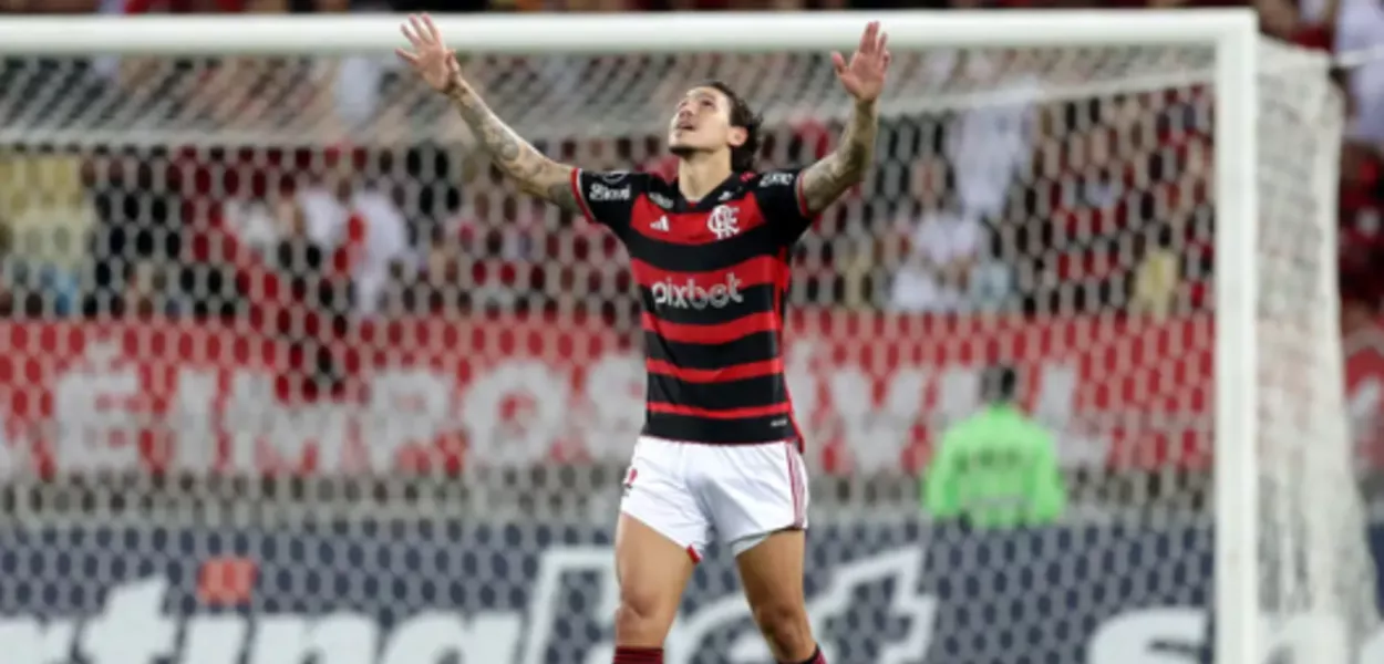 Pedro Flamengo 
