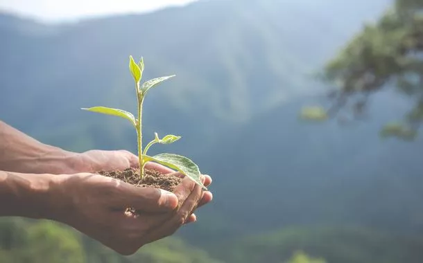 Empreendedores brasileiros lideram ranking mundial de consciência ambiental