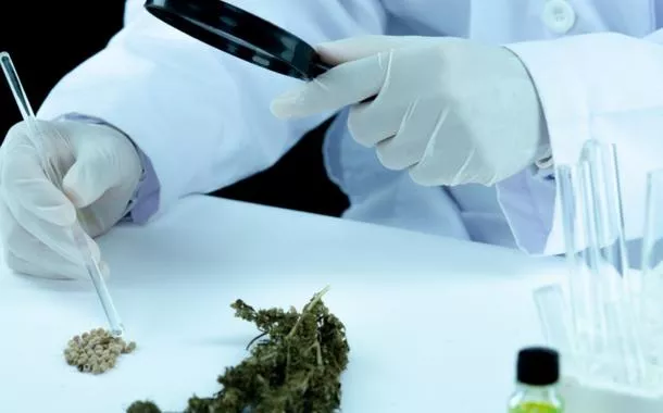 Embrapa firma acordo para estruturar setor de cannabis no Brasil
