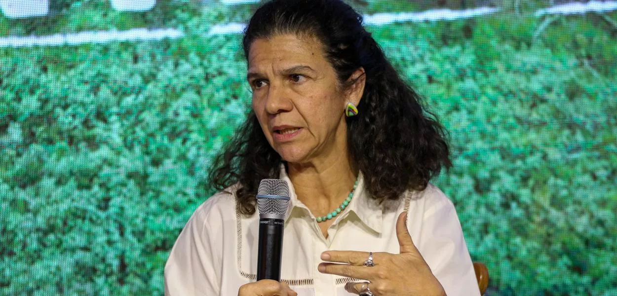 Maria Fernanda Coelho