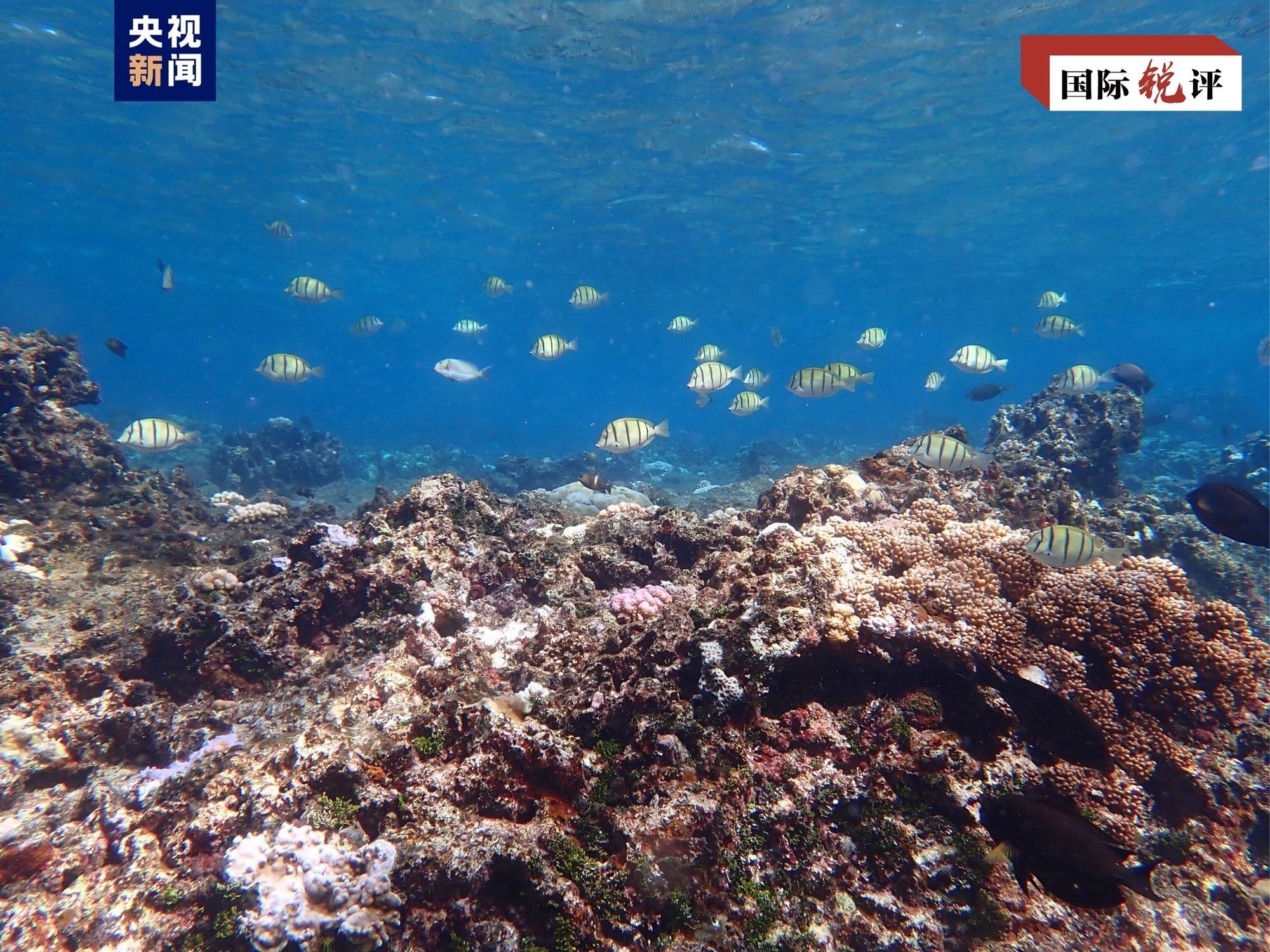 Proteção ecológica da ilha Huangyan pela China é razoável e legítima