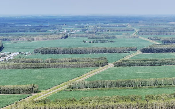 China combate desertificação com "Grande Muralha Verde"