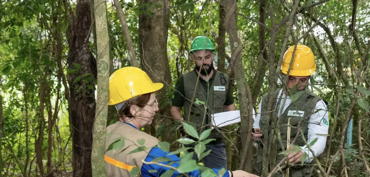 Manejo florestal na região de Itaipu