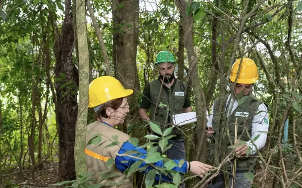Manejo florestal na região de Itaipu