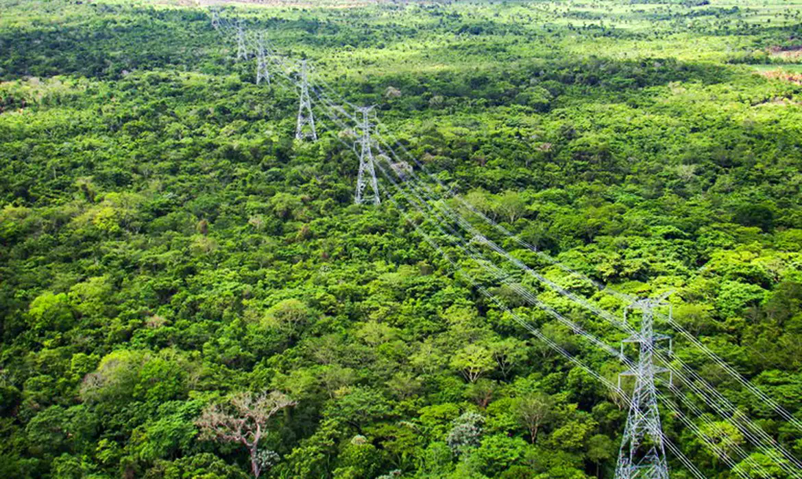 Leilão da Amazônia reduz custo de energia em até 46%