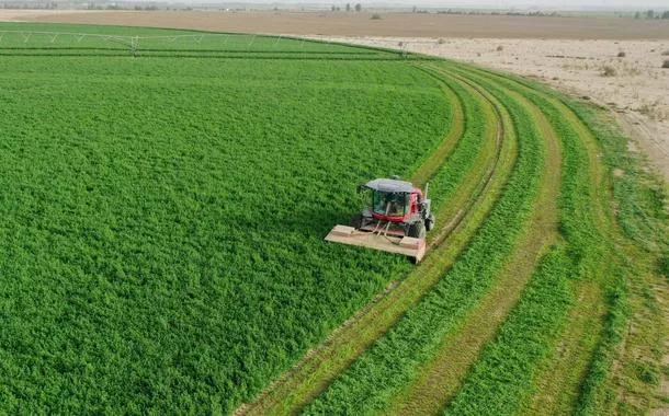 A diretriz de Xi Jinping e a construção de uma Xinjiang socialista moderna