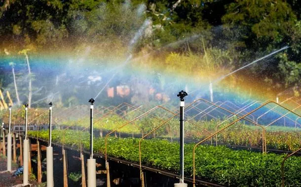 Itaipu apresenta recuperação da Mata Atlântica na COP30