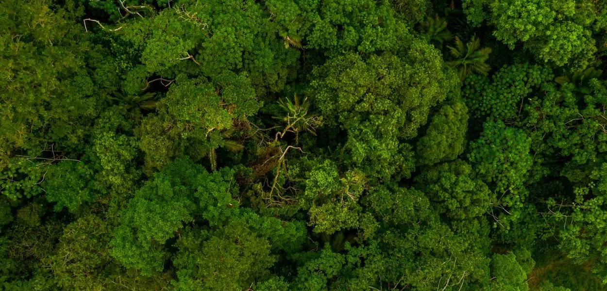 Petrobras e Shell lançam maior inventário de carbono do Brasil