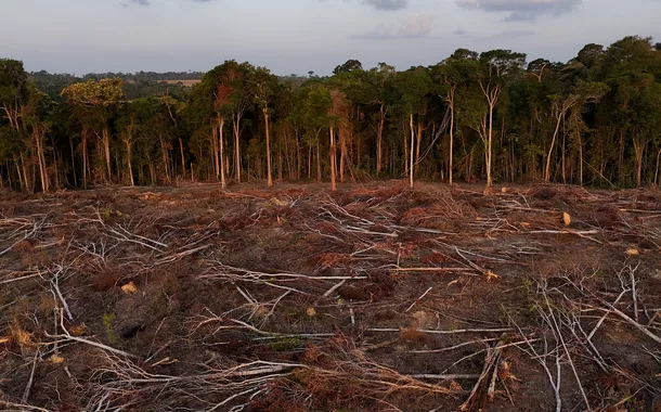 BNDES aprova R$ 100 mi para Belterra expandir sistemas agroflorestais