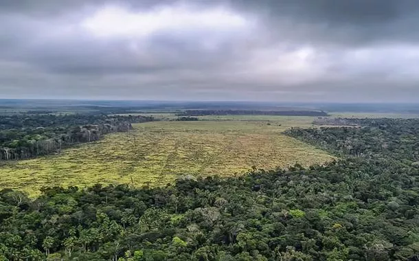 Captura de carbono na Amazônia está em risco, diz estudo