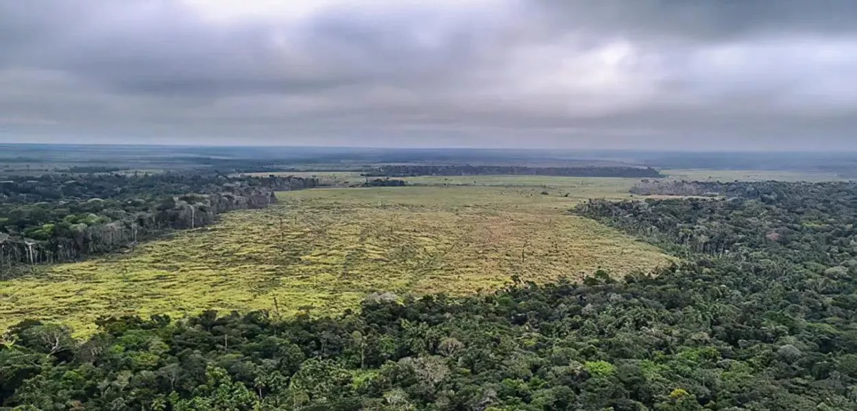 Captura de carbono na Amazônia está em risco, diz estudo