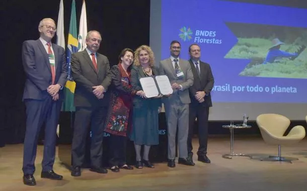 BNDES lança novo edital do Floresta Viva para restaurar áreas indígenas em Mato Grosso, Tocantins e Maranhão