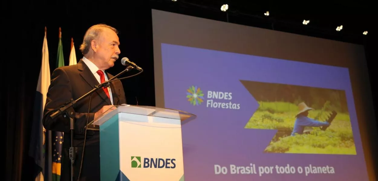 Presidente do BNDES, Aloizio Mercadante ressalta avanços no restauro florestal
