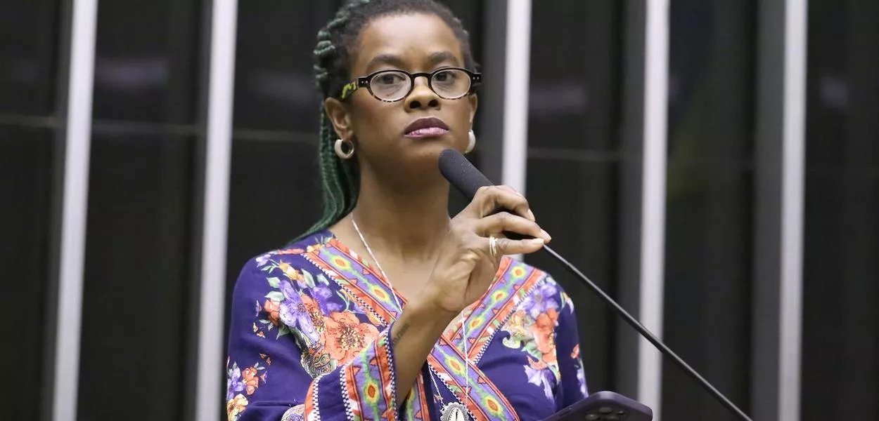 Discussão e votação de propostas legislativas. Dep. Carol Dartora (PT - PR)