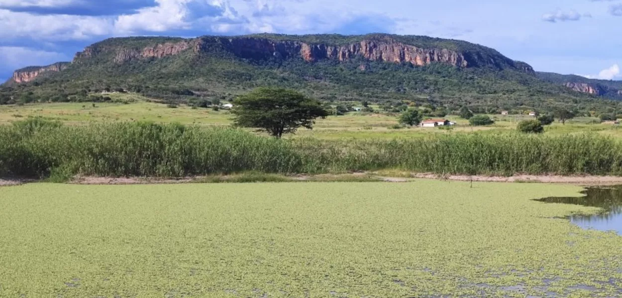Área de Proteção Ambiental da Chapada do Araripe