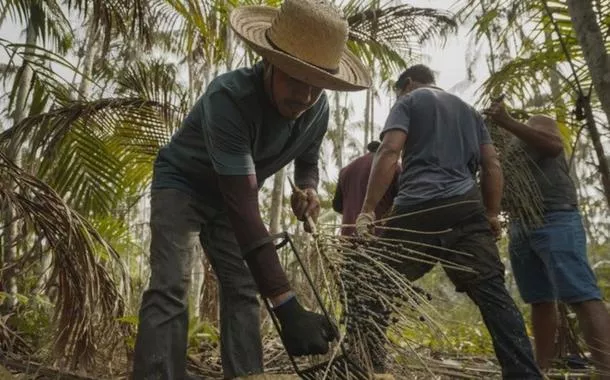 Brasil apresentará na COP30 programa para recuperar áreas degradadas