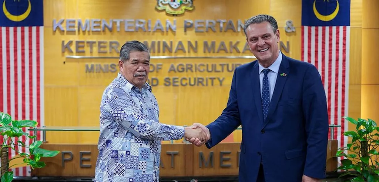 Brasil retoma exportações de frango para a Malásia e abre seis novos mercados para o agronegócio 