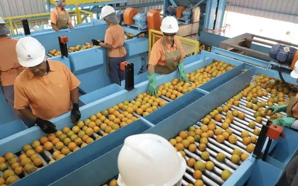 Expansão internacional de médias empresas enfrenta entraves trabalhistas