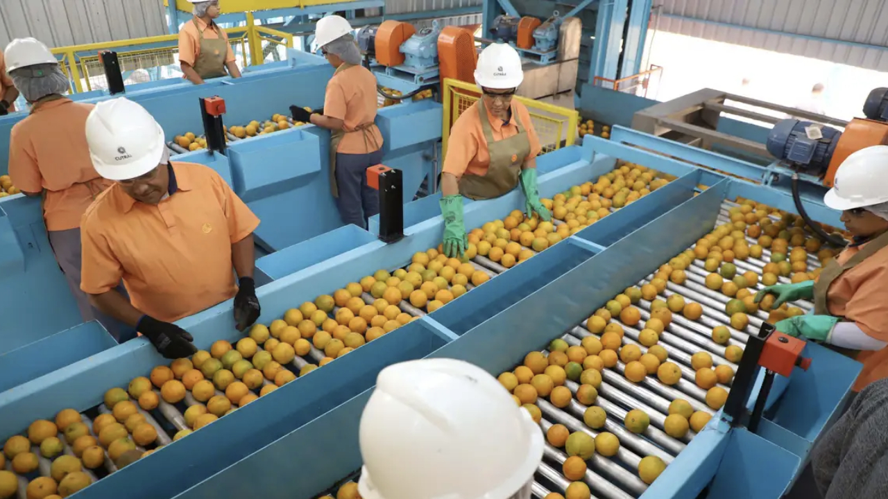 laranjas-exportações-brasil