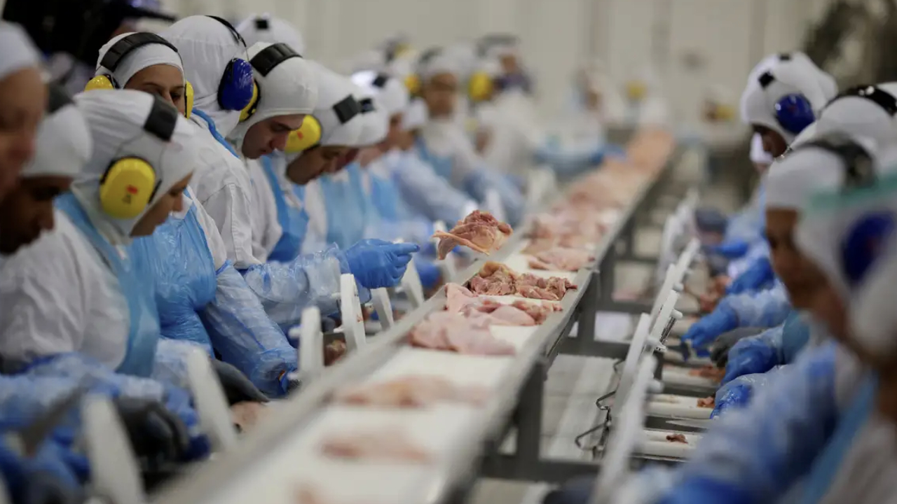 carnes-exportação-brasil