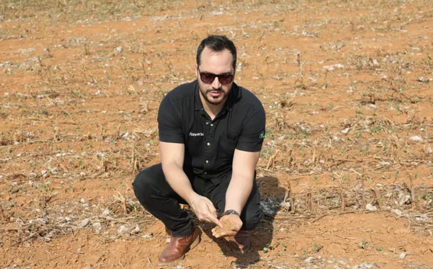 Da pastagem degradada ao celeiro verde: empresas chinesas impulsionam a agricultura sustentável no coração do Brasil