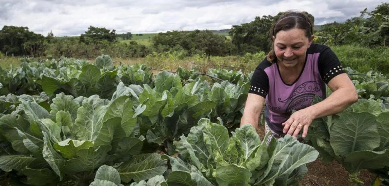 Banco do Nordeste reduz juros para projetos verdes no agronegócio