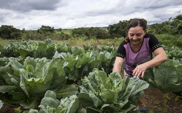 Mulheres empreendedoras lideram ações climáticas rumo à COP30
