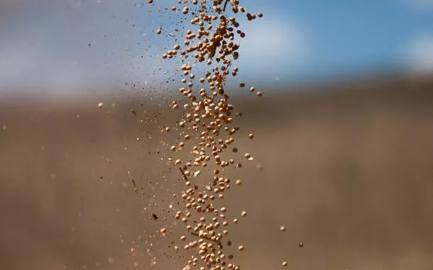 China suspende tarifas retaliatórias agrícolas sobre EUA e preço da soja dispara