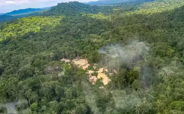 BNDES apoia projetos de reflorestamento em terras indígenas