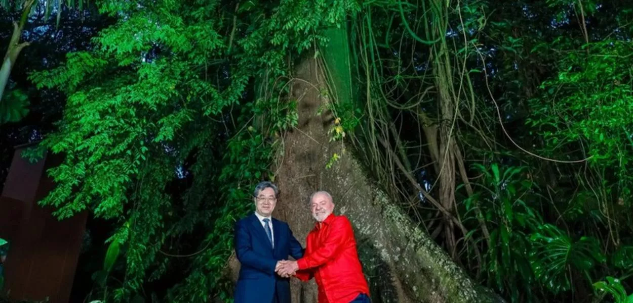 Ding Xuexiang e Lula