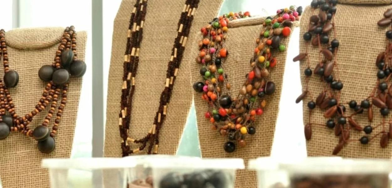 Governo lança plano e amplia apoio a cooperativas na bioeconomia