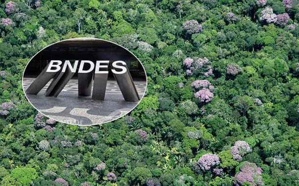BNDES recebe 45 propostas e pode mobilizar R$ 73,7 bilhões em investimentos climáticos