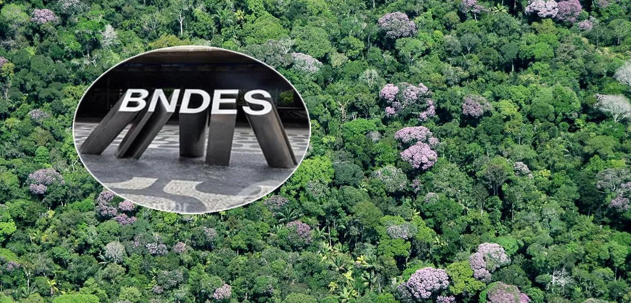 BNDES capta R$ 7,89 bi para projetos verdes no Brasil