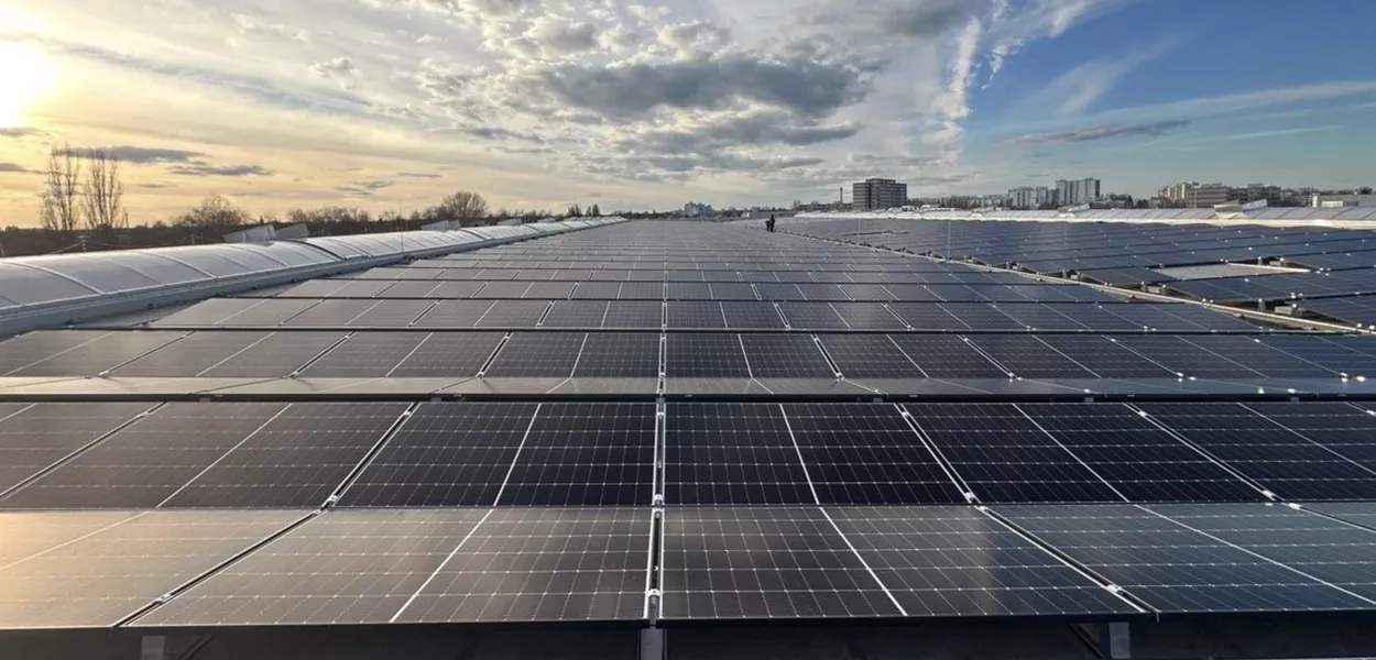 Painéis solares da empresa LONGi